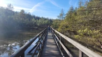 Drewniany most prowadzi przez spokojne jezioro otoczone gęstym lasem iglastym, po moście idzie jedna osoba, a nad całością rozpościera się błękitne niebo z delikatnymi chmurami.