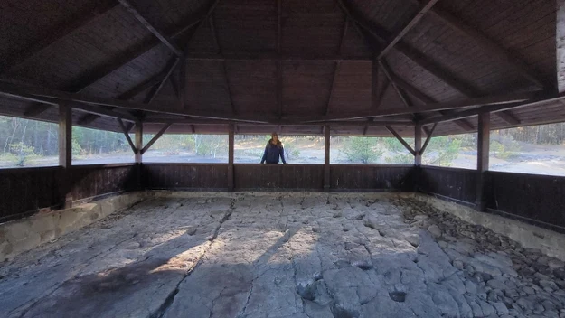 Drewniana altana z wysokim dachem, w środku kamienna podłoga z widocznymi pęknięciami, w jednej z otwartych ścian stoi pojedyncza osoba w żółtej kurtce, wokół widoczny las i jasne światło słoneczne padające przez okna altany.