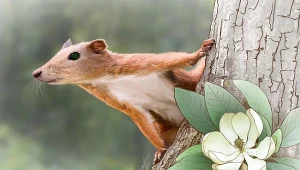 Purgatorius wyglądał jak wiewiórka, ale to przodek naczelnych