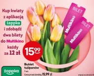 Bukiet tulipanów