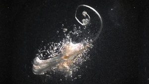 Naukowcy wyhodowali mieszki włosowe. Przełom w walce z łysieniem