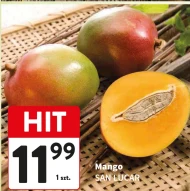 Mango San Lucar