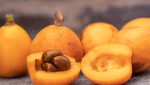 Może wspierać układ krążenia i trawienie. Polacy zupełnie go nie znają