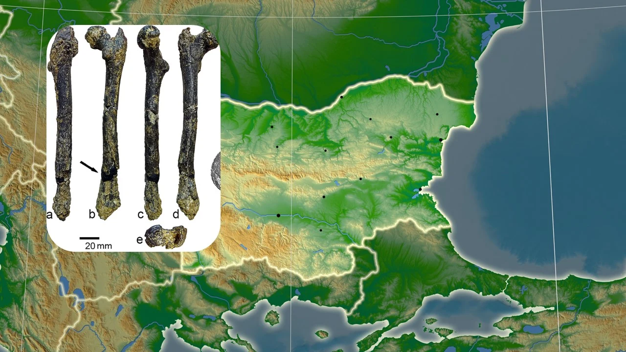Szczegółowe zdjęcia kości długiej przedstawione na tle mapy fizycznej Bułgarii i okolic, z kością umieszczoną w lewej górnej części obrazu, a mapa z wyraźnie widocznymi granicami państw, Morzem Czarnym i topografią regionu.