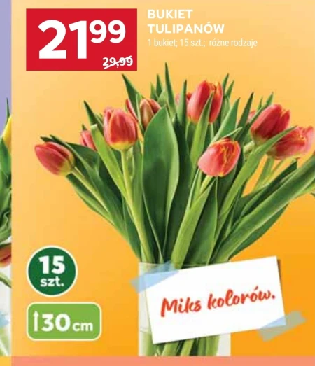 Букет тюльпанів