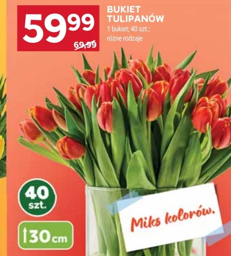 Букет тюльпанів