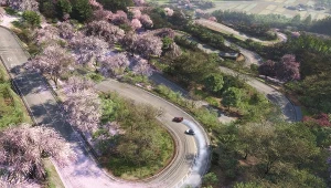 Forza Horizon 6 - wyciekła pełna mapa. Jakie to Tokio jest małe