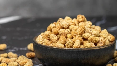 Są w co drugim polskim ogrodzie. Można jeść na surowo, suszone, robić przetwory. 