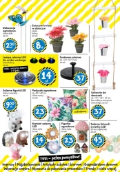 Wielkanocne hity - TEDi