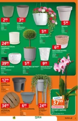 Пропозиція саду в E.Leclerc