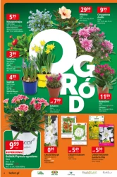 Oferta ogrodowa w  E.Leclerc