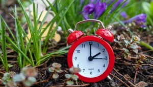 Nie prześpij zmiany czasu. To w ten weekend trzeba przestawić zegarki