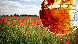 Pogoda bliska ideału. Gorzej będzie tylko w nocy