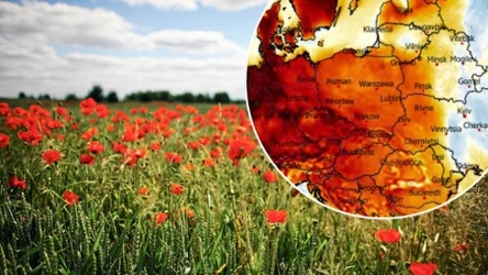 W piątek nad całą Polską zaświeci słońce. Będzie bardzo spokojnie, a najcieplej na południu i południowym zachodzie