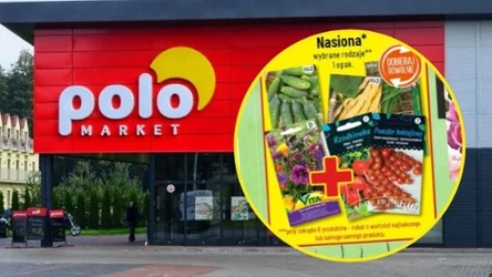 Nasiona ogrodowe w promocji w Polomarket. Drugi produkt 50% taniej i oferta 5+1 gratis