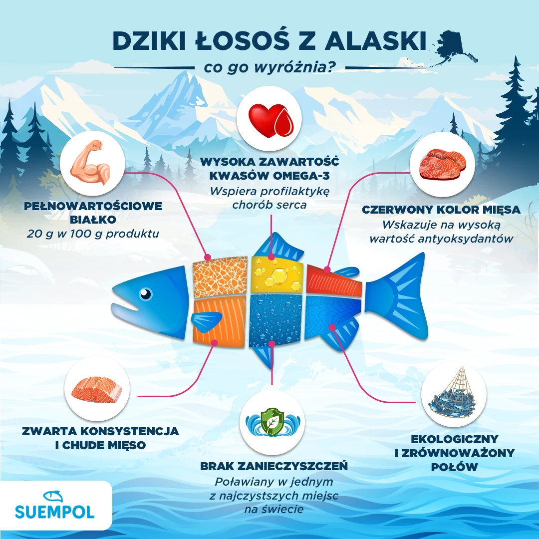 Infografika prezentująca sześć głównych zalet dzikiego łososia z Alaski, pokazanych na tle schematycznego rysunku łososia i ikon ilustrujących: pełnowartościowe białko, wysoką zawartość kwasów omega-3, czerwony kolor mięsa wskazujący na antyoksydanty, ...