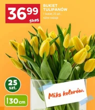 Bukiet tulipanów