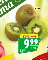 Kiwi