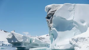 Lód Antarktyki topi się w błyskawicznym tempie