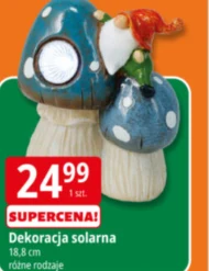 Оздоблення Larna