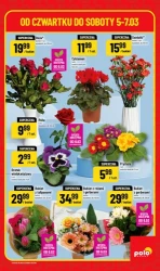 Superhity na weekend! - Polomarket