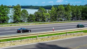 S16 przez Mazury dopiero w 2033. Decyzję zablokował żółw błotny