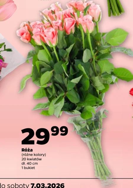 Букет квітів