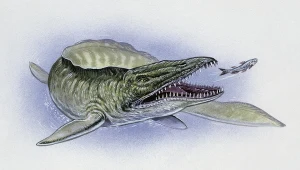 Mozazaury były szczytowymi drapieżnikami oceanów epoki kredy