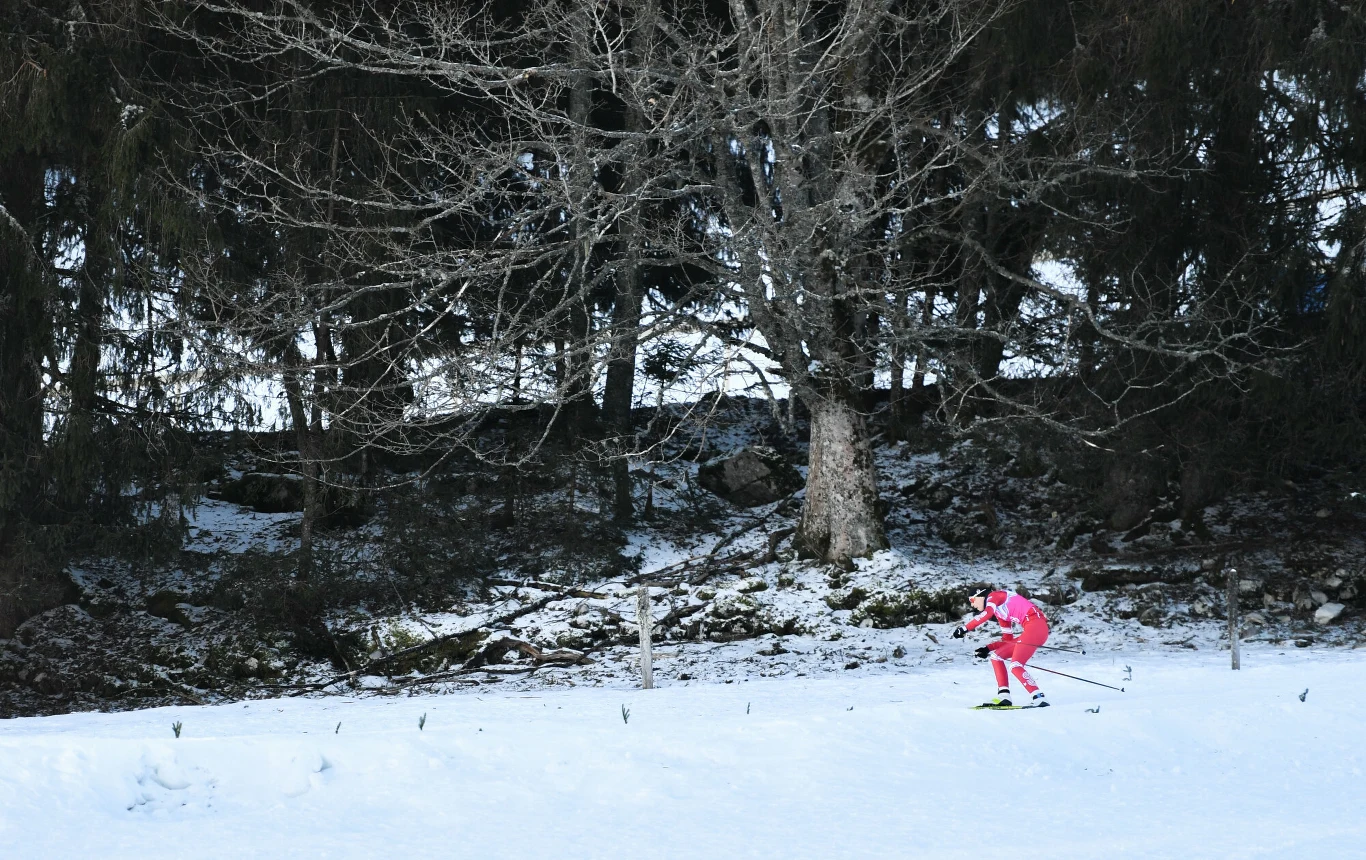Jewgienija Krupicka Narciarz w czerwonym stroju biegnący na nartach biegowych przez ośnieżoną polanę, w tle ciemny las i bezlistne drzewa.