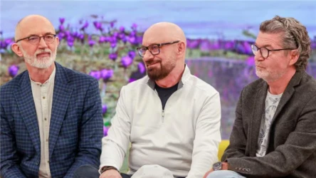 Goście "halo tu polsat"