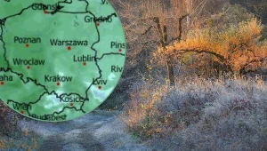 Wiosenna aura w Polsce. Ciepłe dni, chłodne noce i lokalne mgły