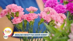 Co dodać do wazonu? Kasia Joda radzi, jak przedłużyć życie ciętych roślin