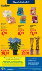 Koszyk pełen sprytnych wyborów - Lidl