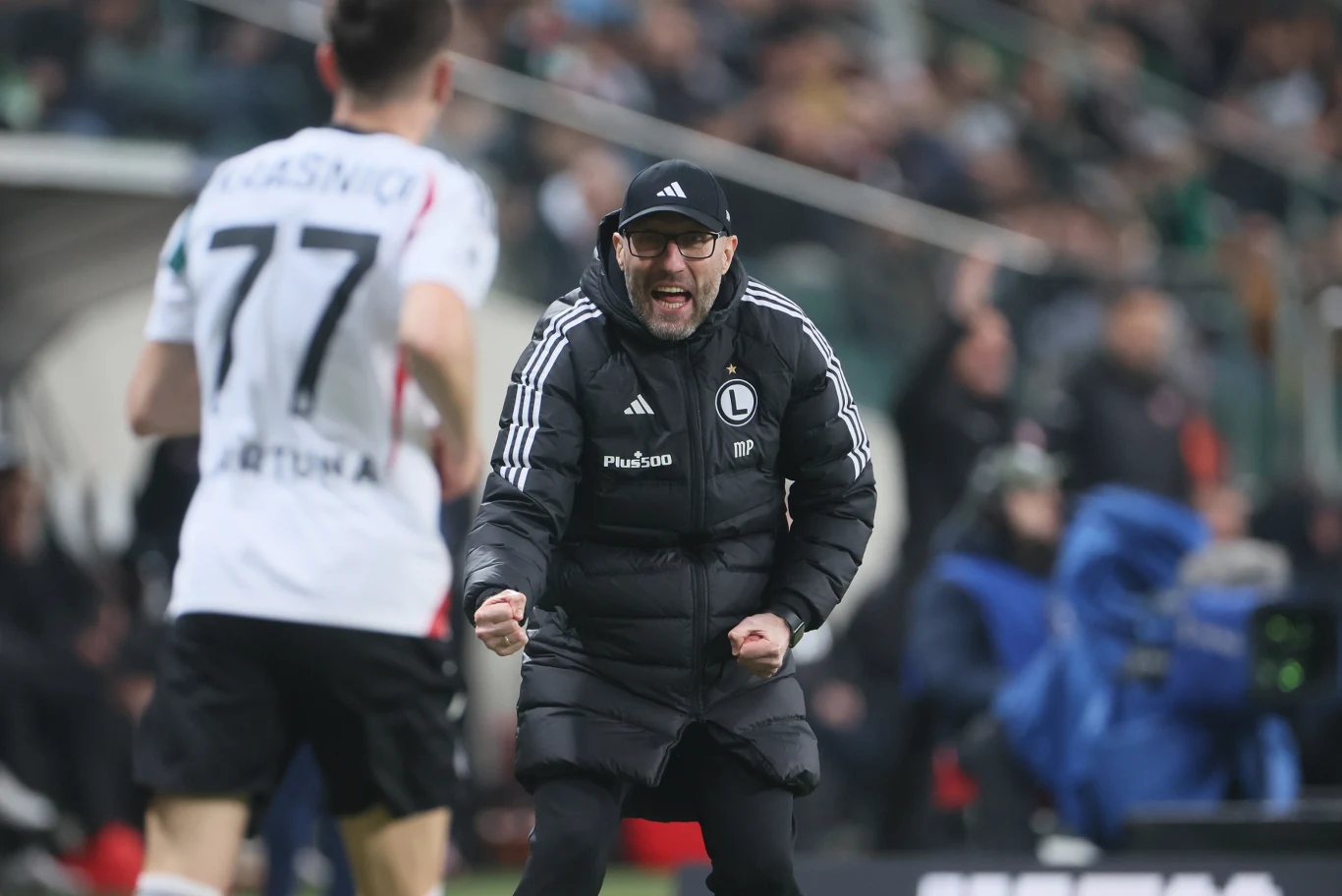 Trener w czarnej kurtce z logo Legii Warszawa dynamicznie reaguje na boisku, zaciskając pięści i krzycząc w stronę zawodnika z numerem 77, który jest ubrany w biały strój meczowy; tło stanowi rozmyta publiczność na stadionie.