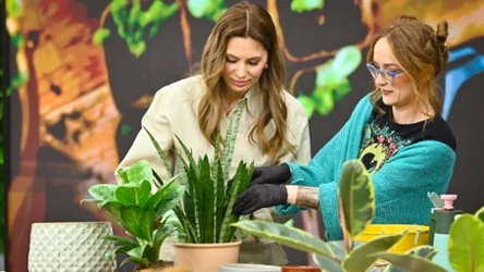 Agnieszka Hyży i Anna Skorupska - ekspertka opowiedziała, jak i kiedy przesadzać rośliny doniczkowe
