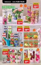 Niskie ceny - Biedronka