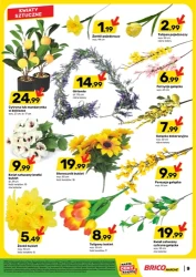 W domu i ogrodzie! - Bricomarche