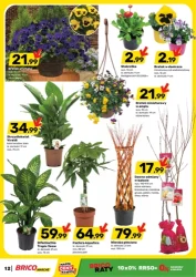 W domu i ogrodzie! - Bricomarche