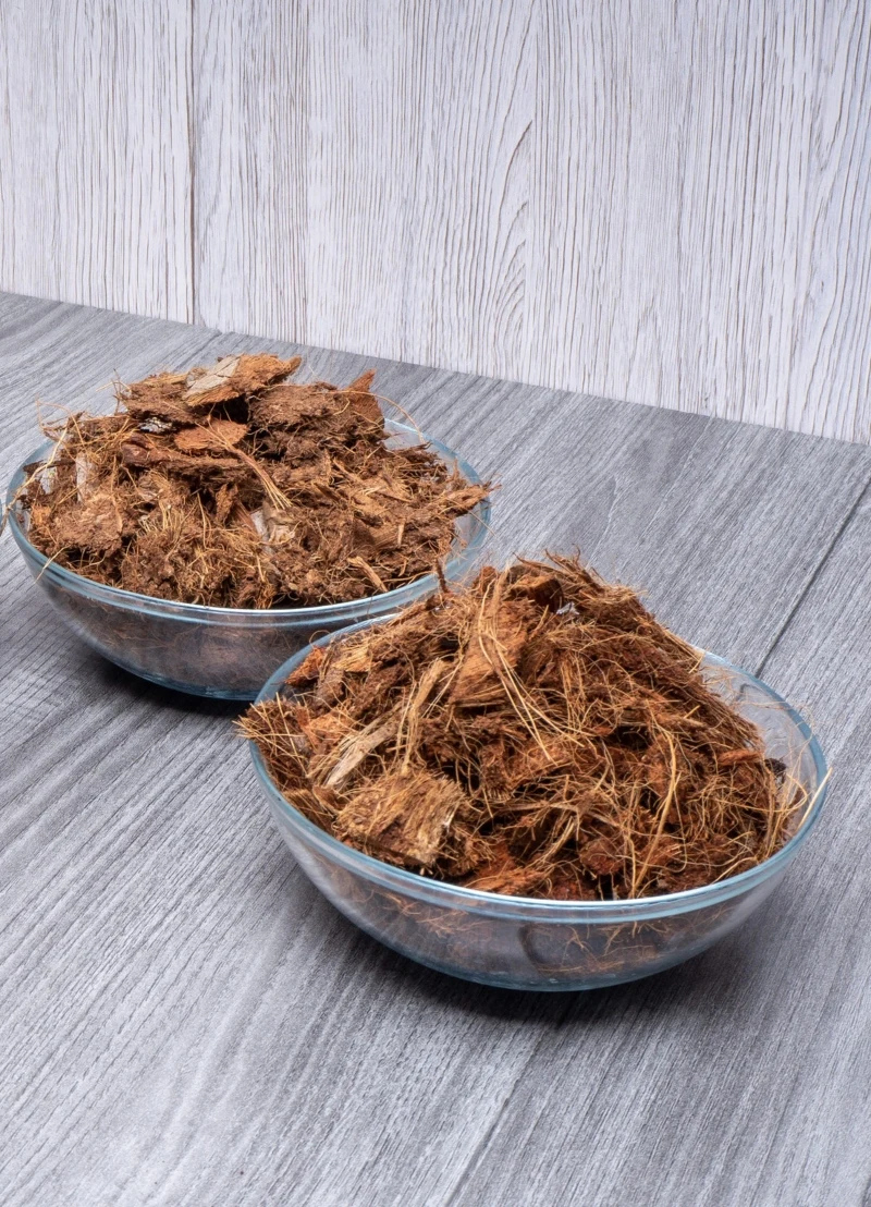 Włókna z kokosa znakomicie nadają się do podłoża, w którym rosną rośliny lubiące wilgoć Dwie szklane miski wypełnione suchymi włóknami kokosowymi ustawione na szarym drewnianym blacie na tle jasnej, drewnianej ściany.