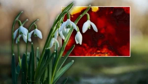 Wzbiera wiosenna fala. Pogoda zdecydowanie zachęci do spaceru