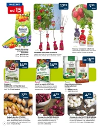 Gotowi na wiosnę? - PSB Mrówka