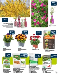 Gotowi na wiosnę? - PSB Mrówka