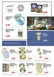 To wiosna! - Torimpex