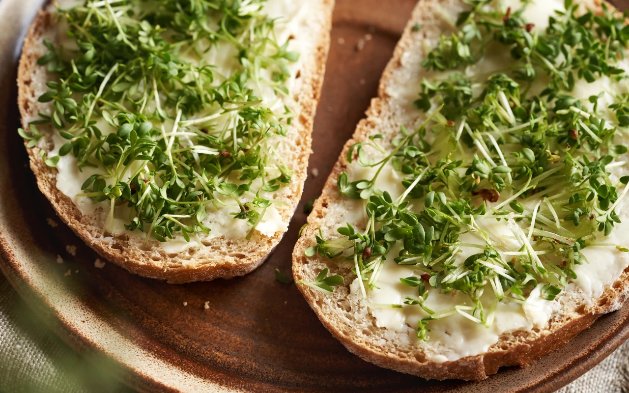 Dodanie rzeżuchy do codziennego menu jest banalne. Można w ten sposób zadbać o zdrowie swoich jelit Dwie kromki chleba posmarowane masłem i obficie posypane świeżą rzeżuchą, ułożone na brązowym talerzu.