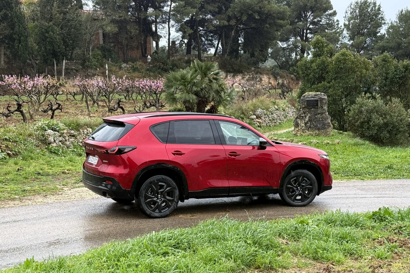 Czerwony samochód typu SUV zaparkowany na drodze w otoczeniu zielonych krzewów, drzew i winnic, tło wypełniają wysokie drzewa i kamienna budowla po prawej stronie.