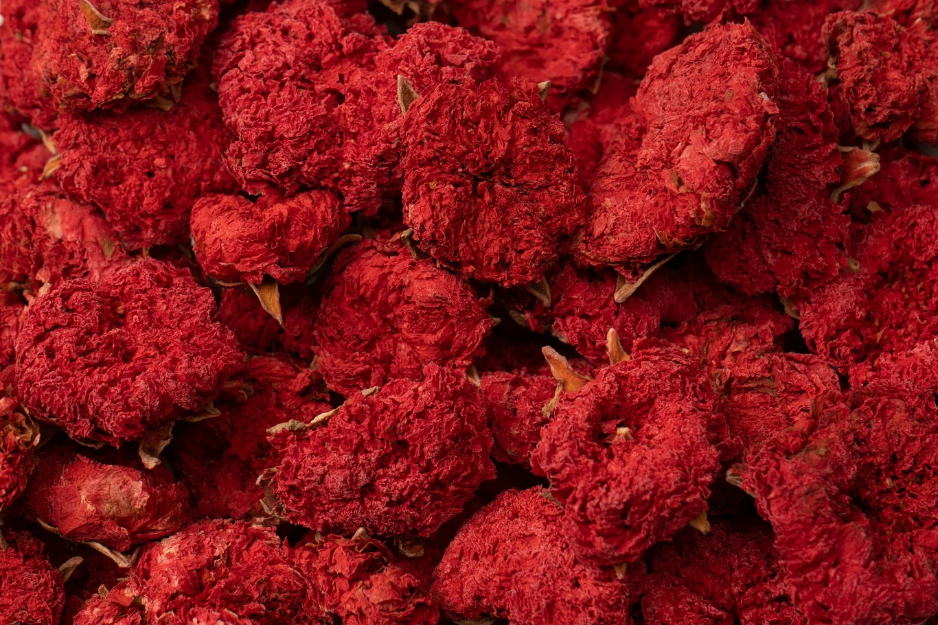 Stos suszonych, bordowych kwiatów o chropowatej fakturze i zwiniętych płatkach; dominujące intensywne odcienie czerwieni i brak zielonych łodyg czy liści.