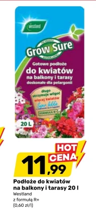 Podłoże do kwiatów Westland