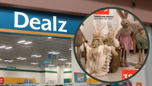 Te urocze zajączki to hit tej wiosny. W Dealz pojawił się duży wybór wielkanocnych dekoracji