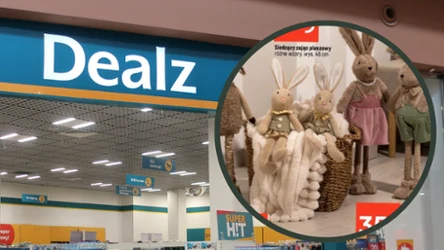 Te urocze zajączki to hit tej wiosny. W Dealz pojawił się duży wybór wielkanocnych dekoracji