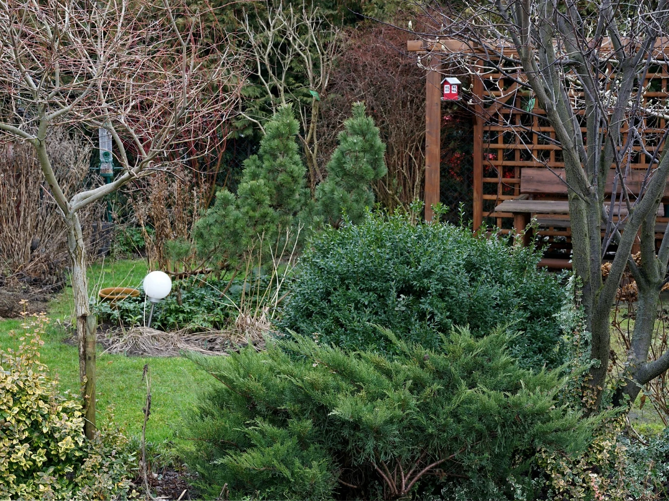 Drewniana altana z ławką wśród gęstej zieleni i krzewów, z kulistą lampą ogrodową oraz zadbanym trawnikiem otoczonym przez drzewa i krzewy iglaste.